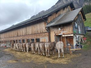 Daniel Betschart Saemi